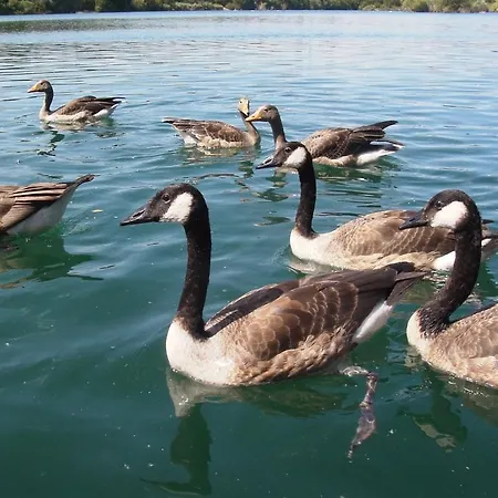 Am - Privatunterkunft *