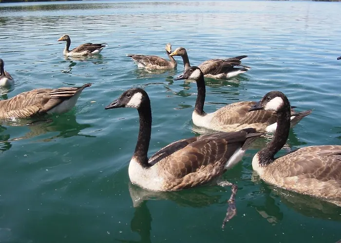 Am - Habitación en casa particular *